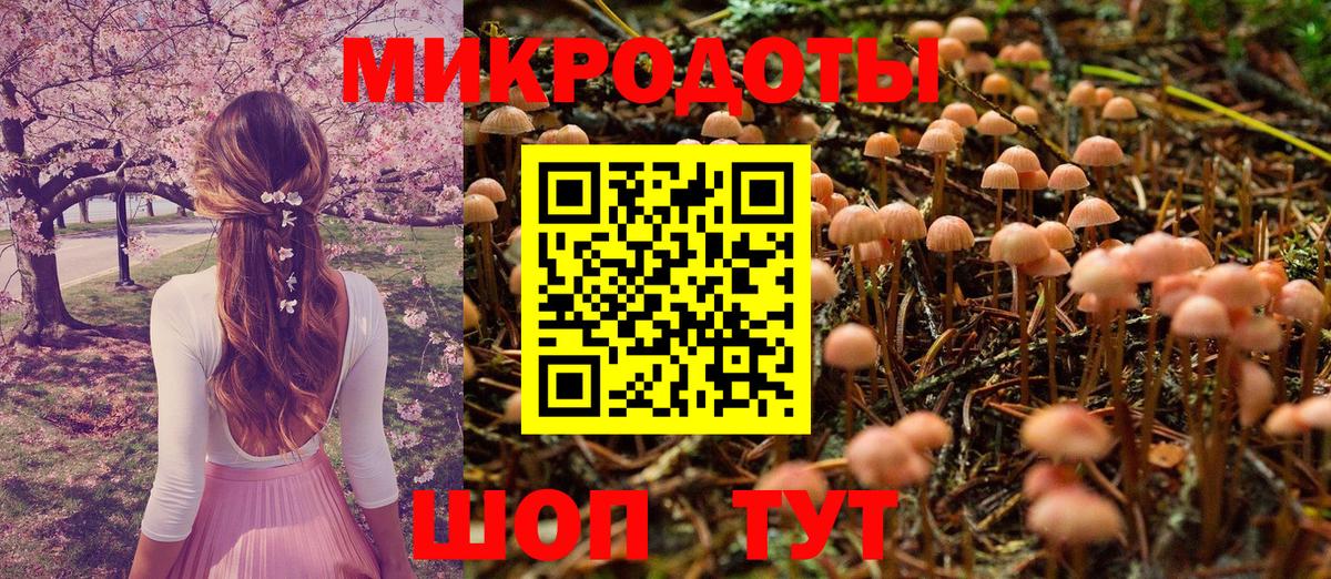 Галлюциногенные грибы мухоморы Шатура