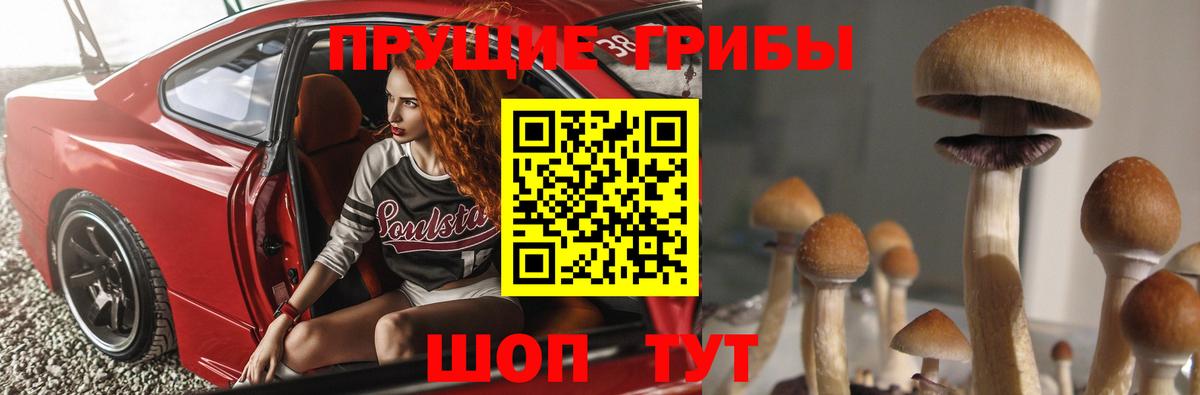 закладки  Галлюциногенные грибы Psilocybe  Вход с VPN  Галлюциногенные грибы Cubensis  Шатура 